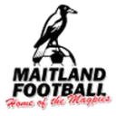 Maitland