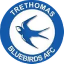 Trethomas Bluebirds