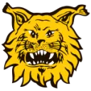 Ilves W