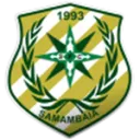 Samambaia