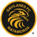Gavilanes FC Matamoros