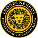 Leones Negros