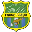 Jeunes Fauves