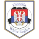 Dianella White Eagle