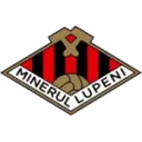 Minerul Lupeni