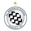 Mineros de Guyana