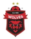 Wollongong Wolves