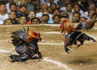 Link vào nhà cái SV388 Khám Phá Thế Giới Cá Cược Trực Tuyến Link vào nhà cái SV388 Khám Phá Thế Giới Cá Cược Trực Tuyến