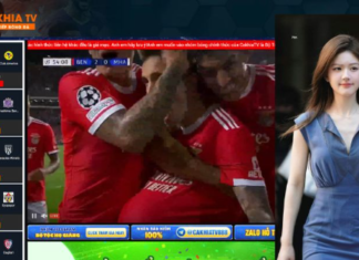 Cakhia TV Và Những Trải Nghiệm Kỳ Diệu Hiếm Thấy