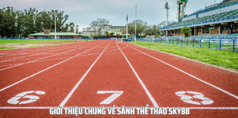 Cá Độ Thể Thao Sky88 - Chớp Lấy Cơ Hội Đổi Đời Và Làm Giàu