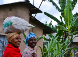 The Tanzania betting boom: Billions on the line, but what is the cost?