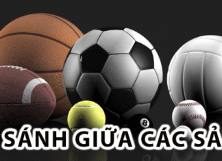 Prestigious Sports Hall – Top Destination For Long-time Members