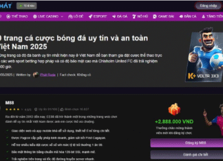 How Vinh Phat Mobile Guides Bettors to Smarter Wagering Decisions?