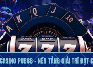 Live Casino PUB88 – Global Standard Entertainment Platform