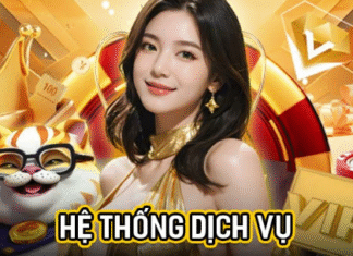 Is winvn homepage reputable? Detailed review