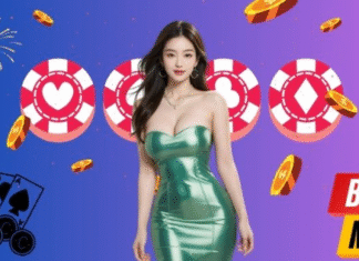 Nha cai Card Game – Experience Playing Cards Like It’s Real