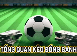 Half Ball Odds – Understand Correctly To Bet Effectively