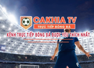 Discover Safe Addresses to Watch Live Football Gambling