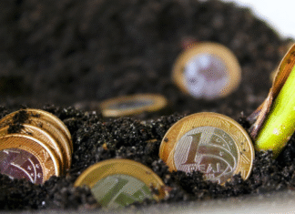 How Cryptocurrency Is Changing the Game for Bettors loyalty programs