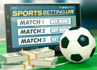 In-Play Cricket Clarity for Sportsbook Blogs: A Calm, Readable Live Layer Sportsbook Blogs