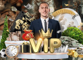 Rajabaji Casino: Ultimate Gaming Destination in 2026 Rajabaji Casino