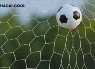 Kèo Nhà Cái 5 – In-Depth And Detailed Match Analysis System bookmaker odds website