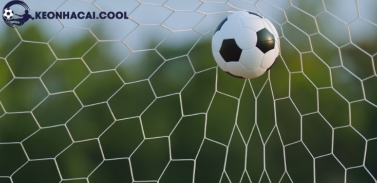 bookmaker odds website