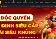 What are the outstanding features of the Nohu90 betting site in 2026? Nohu90 betting site in 2026